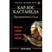 Постер книги Карлос Кастанеда. Продвижение к Силе. Закрытый семинар великого мастера