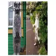Постер книги Смирно! Равняйсь! Эссе