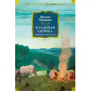 Постер книги Кладовая солнца. Повести, рассказы