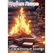 Постер книги Сожженные книги