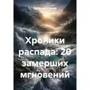 Постер книги Хроники распада: 20 замерших мгновений