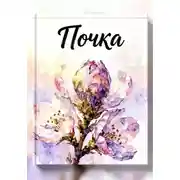 Постер книги Почка