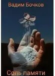 Вадим Бочков - Соль памяти