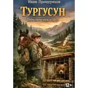 Постер книги Тургусун. Приключения в лесу