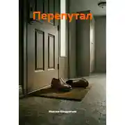 Постер книги Перепутал