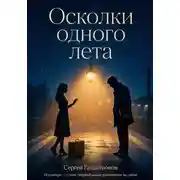 Постер книги Осколки одного лета