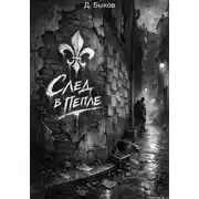 Постер книги След в пепле