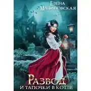 Постер книги Развод и тапочки в котле