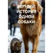 Постер книги ВЕРНЫЙ. ИСТОРИЯ ОДНОЙ СОБАКИ