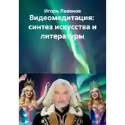 Постер книги Видеомедитация:  синтез искусства и литературы