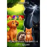 Постер книги Приключения пса Бинго и его друзей