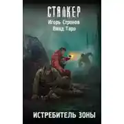 Постер книги Истребитель Зоны