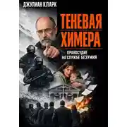 Постер книги Теневая химера: правосудие на службе безумия