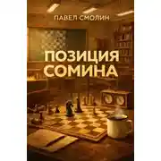 Постер книги Позиция Сомина
