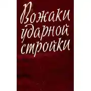 Постер книги Вожаки ударной стройки