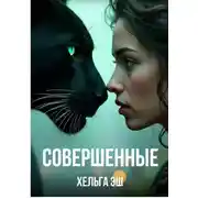 Постер книги Совершенные