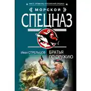 Постер книги Братья по оружию