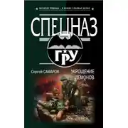 Постер книги Сопроводитель