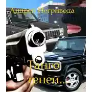 Постер книги Танго теней