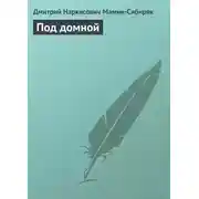 Постер книги Под домной