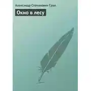 Постер книги Окно в лесу