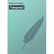 Постер книги Товарищ!