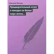 Постер книги Предварительный отчет о поездке на Белое море летом 1876 г.