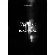 Постер книги Пропал мальчик