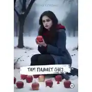 Постер книги Там падает снег