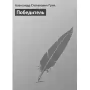 Постер книги Победитель