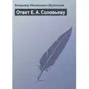 Постер книги Ответ Е. А. Соловьеву