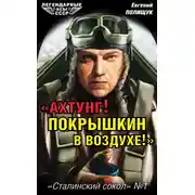 Постер книги «Ахтунг! Покрышкин в воздухе!». «Сталинский сокол» № 1