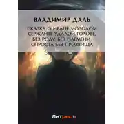 Постер книги Сказка о Иване Молодом сержанте Удалой голове, без роду, без племени, спроста без прозвища