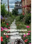 Елена Вербий - Чёрная машина, Красная Туфля и другие