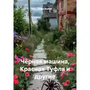 Постер книги Чёрная машина, Красная Туфля и другие