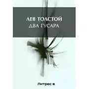 Постер книги Два гусара