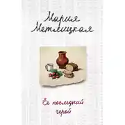 Постер книги Ее последний герой