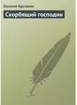 Василий Брусянин - Скорбящий господин