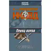 Постер книги Принц воров