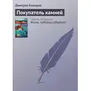 Постер книги Покупатель камней