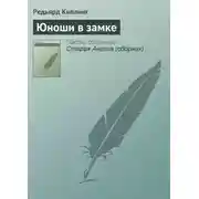 Постер книги Юноши в замке