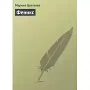 Постер книги Феникс