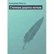 Постер книги Степная дорога ночью