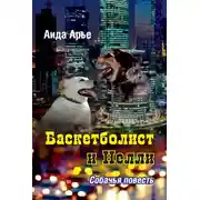 Постер книги Баскетболист и Нелли