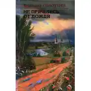 Постер книги Не прячьтесь от дождя