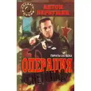 Постер книги Пираты неба (Операция «Снегопад»)