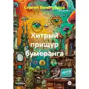 Постер книги Хитрый прищур бумеранга
