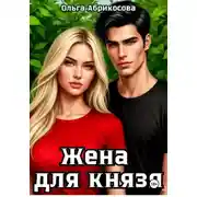 Постер книги Жена для князя