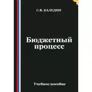 Постер книги Бюджетный процесс