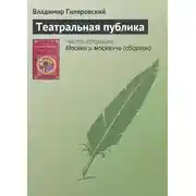 Постер книги Театральная публика